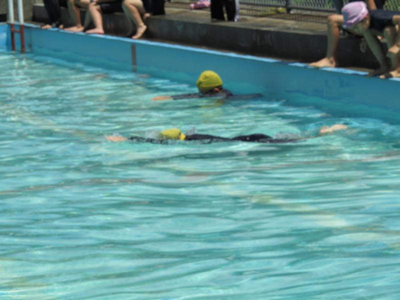 水泳3