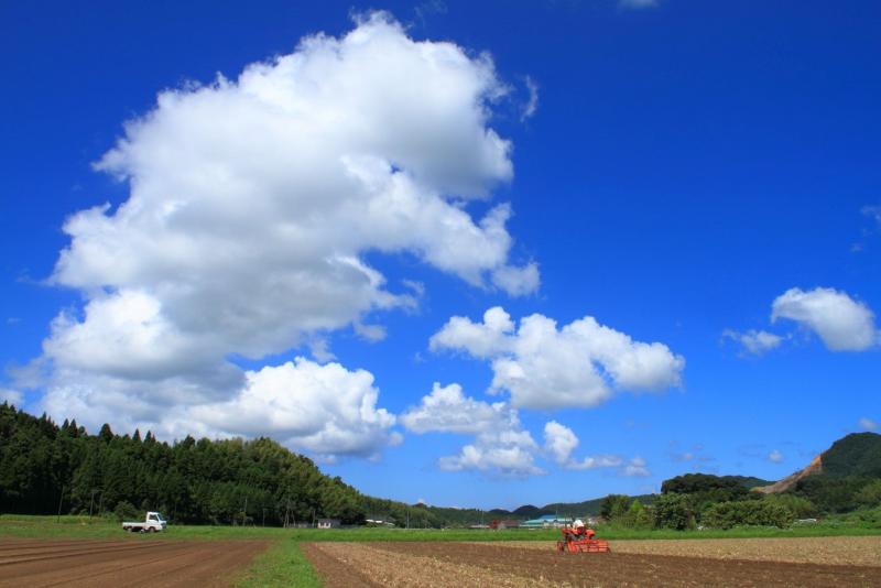 風景