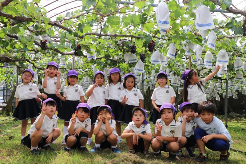 田代幼稚園